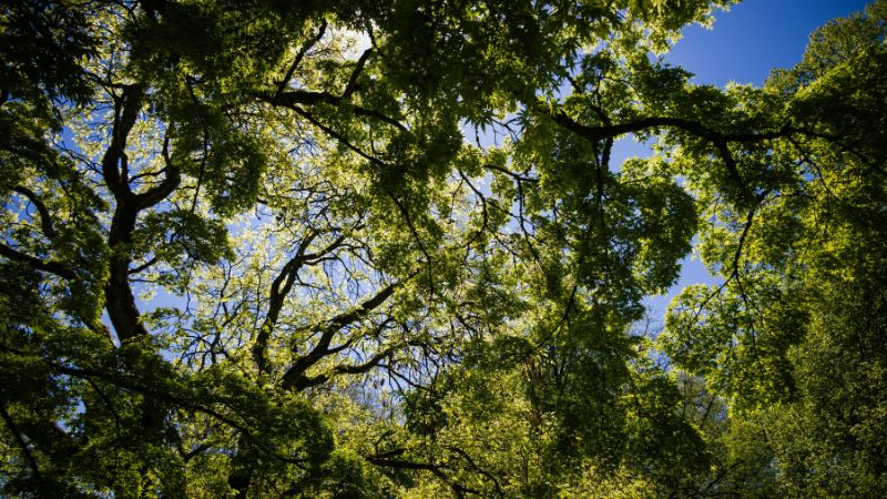 Integrating Mindfulness into Daily Life A Workshop Experience
