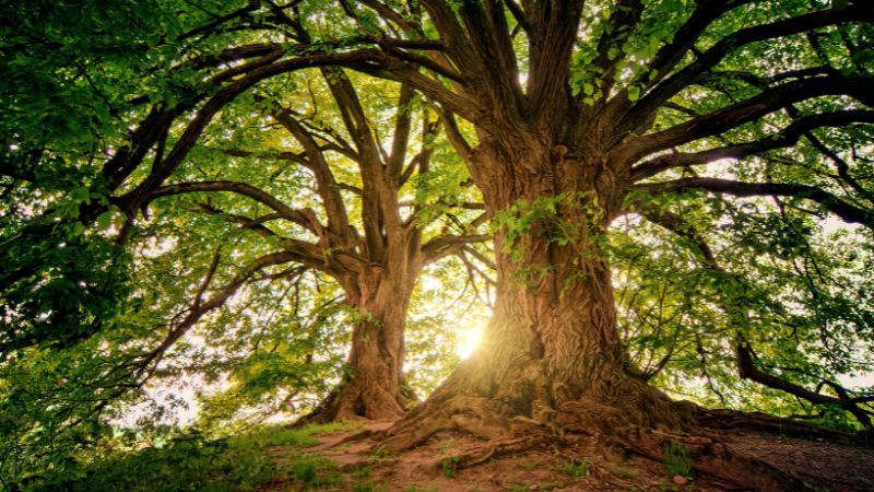 Managing Workplace Stress in the UK Mindfulness Solutions (1)